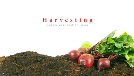 Similar image 14872457