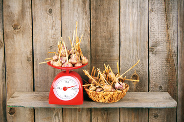 Similar image 14872364