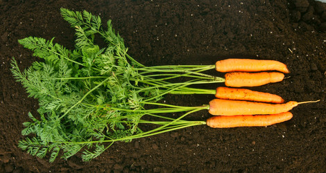 Similar image 14872436