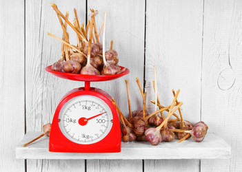 Similar image 14872261