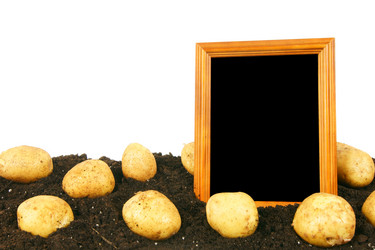 Similar image 14872437