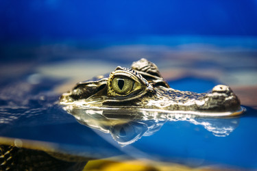 Similar image 13325239