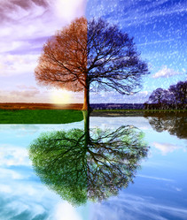 Similar image 13325240