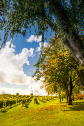 Similar image 14512445