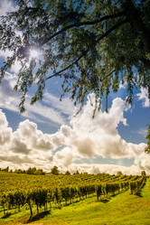 Similar image 14512448