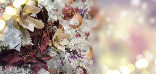 Similar image 14873962