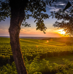 Similar image 14512536