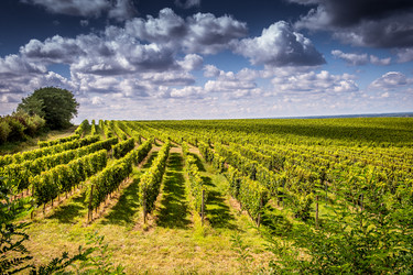 Similar image 14512543