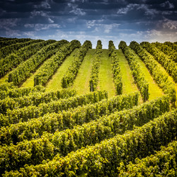 Similar image 14512549