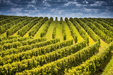 Similar image 14512551