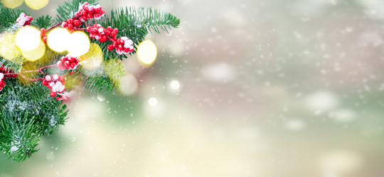 Similar image 14874014