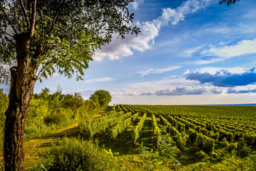 Similar image 14512571