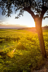 Similar image 14512605