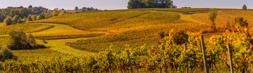 Similar image 14512630