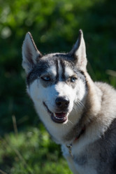 Similar image 14512633