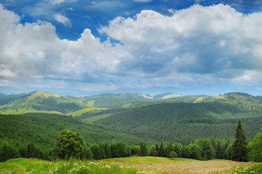 Similar image 13325259