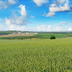 Similar image 13325286