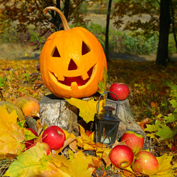 Similar image 13325288