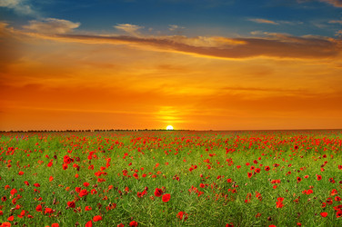 Similar image 13325295