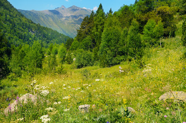 Similar image 13325312