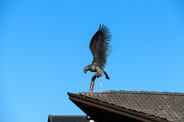 Similar image 13632890