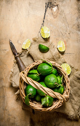 Similar image 14872487