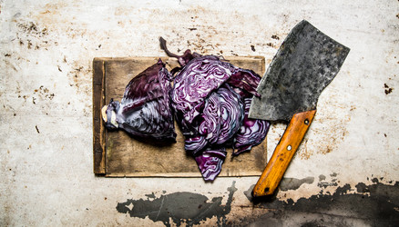 Similar image 14872189