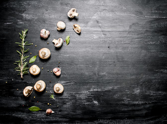 Similar image 14872412