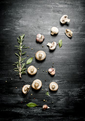 Similar image 14872467