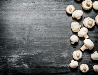 Similar image 14872511