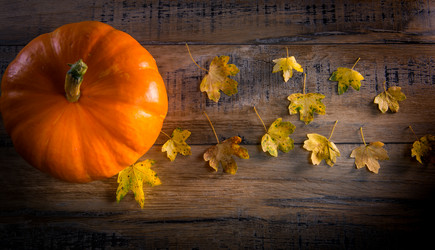 Similar image 14512418