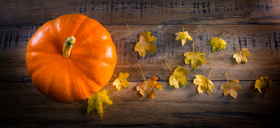 Similar image 14512419