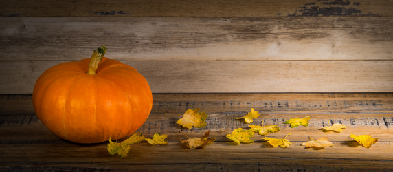 Similar image 14512420