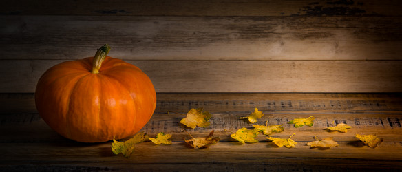 Similar image 14512421