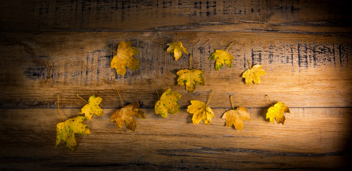 Similar image 14512422