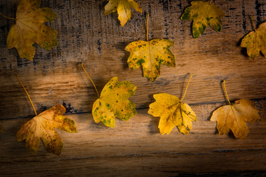 Similar image 14512423