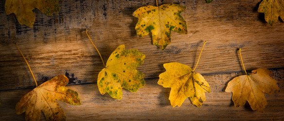 Similar image 14512424