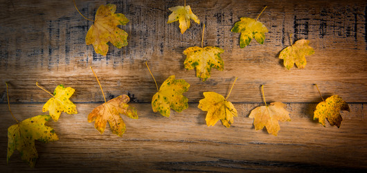 Similar image 14512425