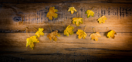 Similar image 14512427