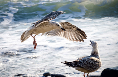 Similar image 13325251