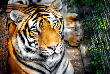 Similar image 13325261