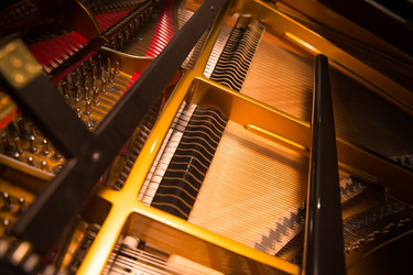 Similar image 14512290