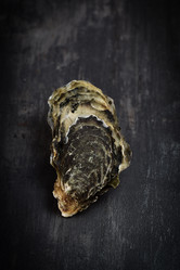 Similar image 14512470