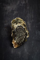 Similar image 14512472