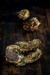 Similar image 14512473