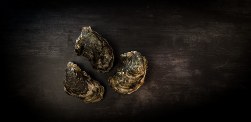 Similar image 14512474