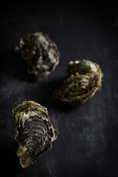 Similar image 14512475