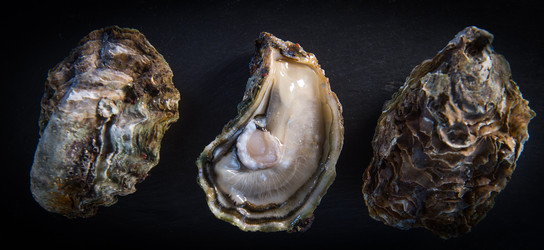 Similar image 14512480