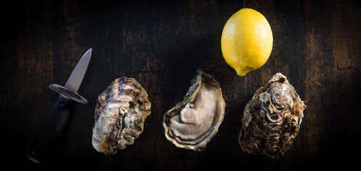 Similar image 14512482