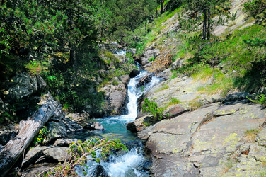 Similar image 13633027